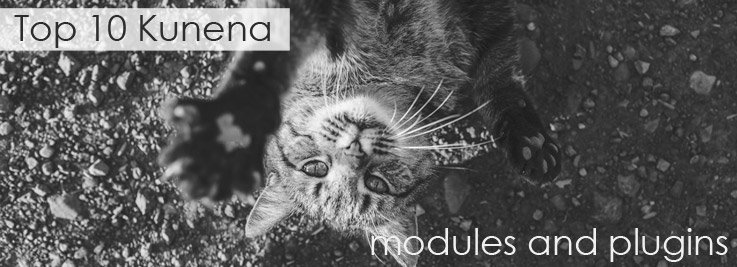 Top 10 Kunena modules and plugins overview